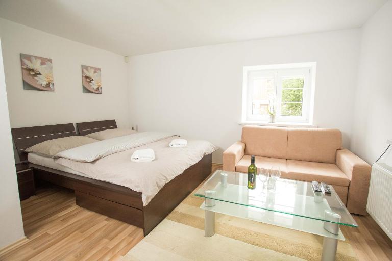 Apartmán Harrachov se zahradou - Ferienwohnung Harrachov