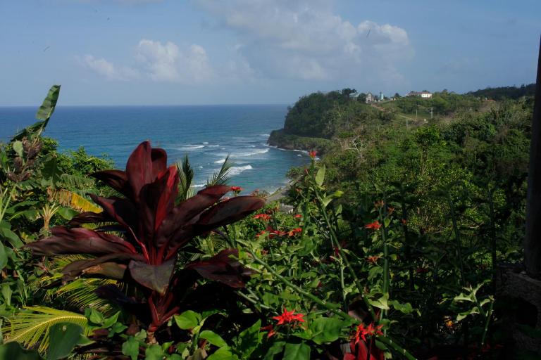 I VIEW - in Long Bay - B&B Long Bay
