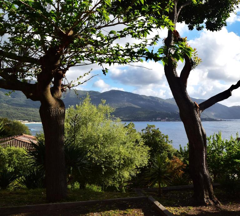 le relais de tiuccia - B&B Casaglione