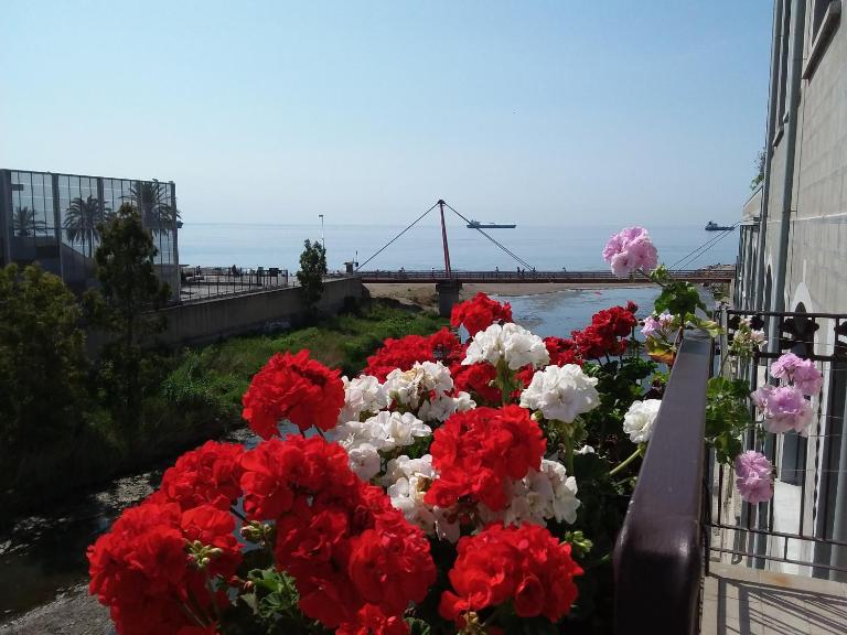 Savonaamare - B&B Savona