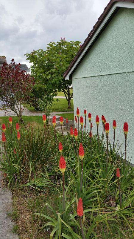 Cedar Bungalow image 2