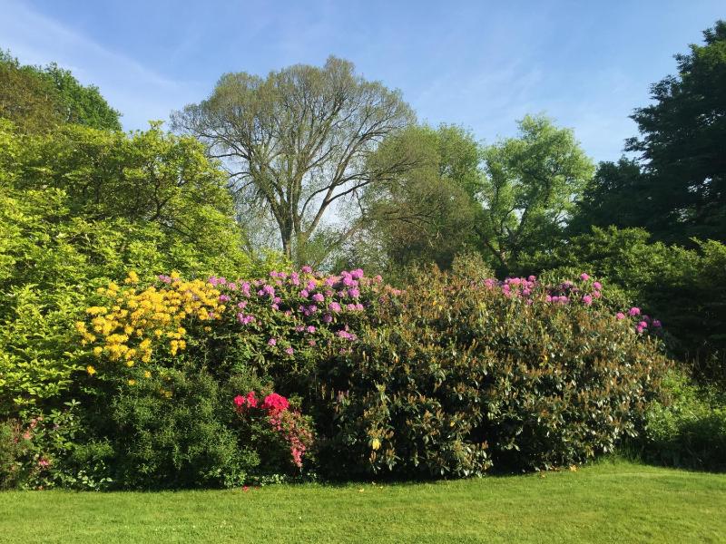 Wattlodge - image 18