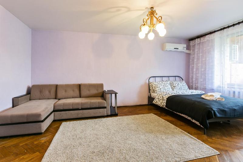 One-Bedroom Apartment image 3