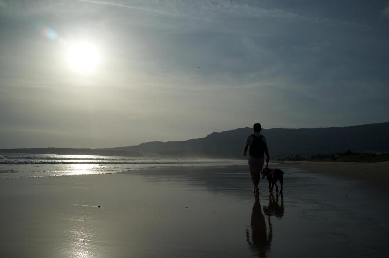 Ilusiones del Mar - image 7