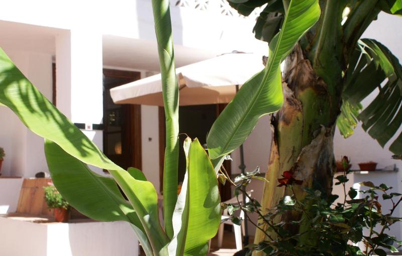 Apartment with Terrace image 4