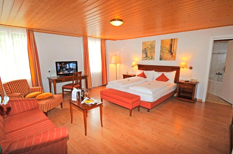 Mini Suite image 3
