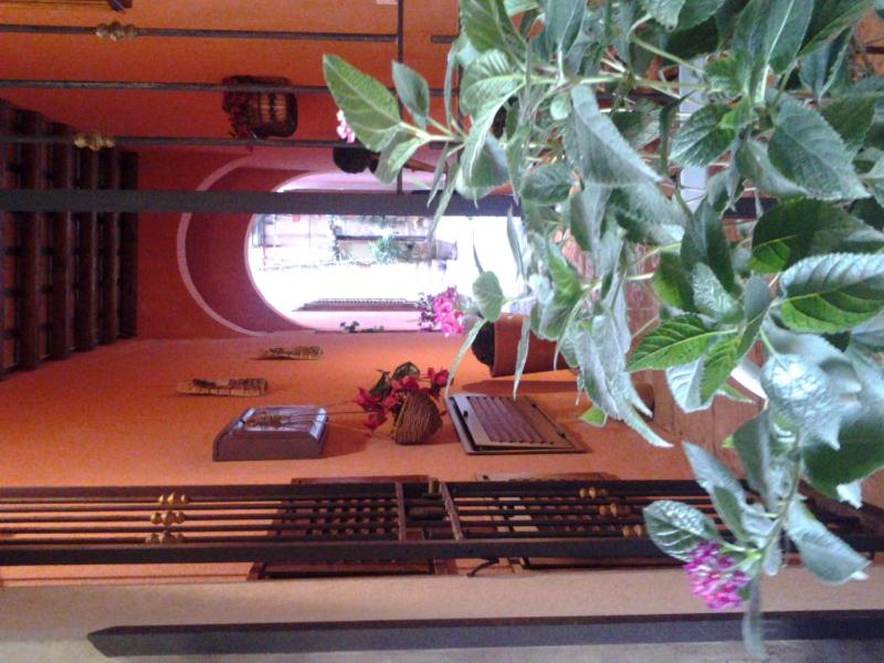 Il Cortile Fiorito - image 27