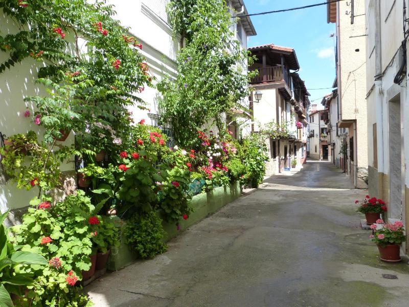 attic and terrace  image 2