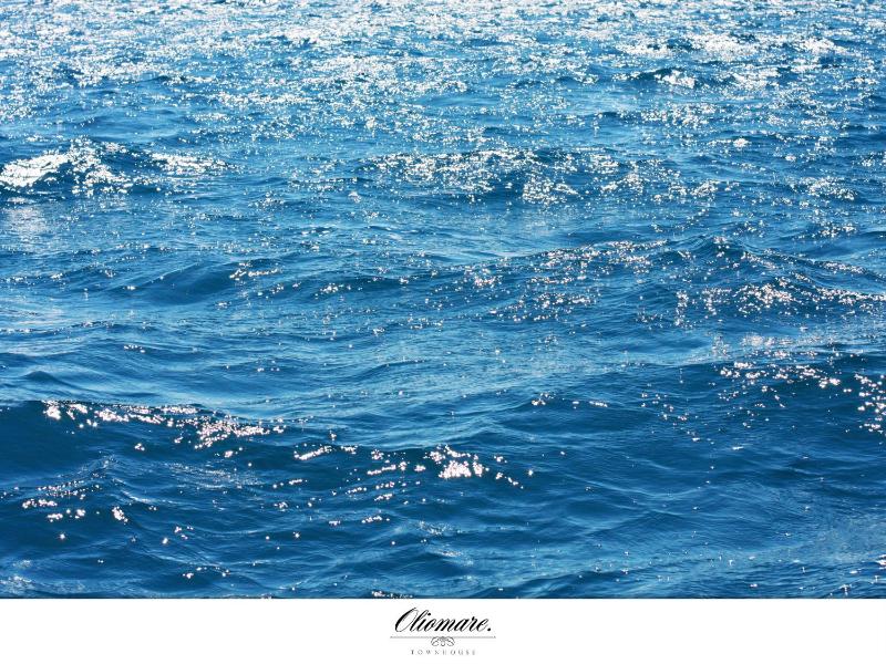 Oliomare - image 5