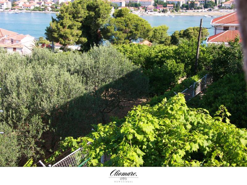 Oliomare - image 15