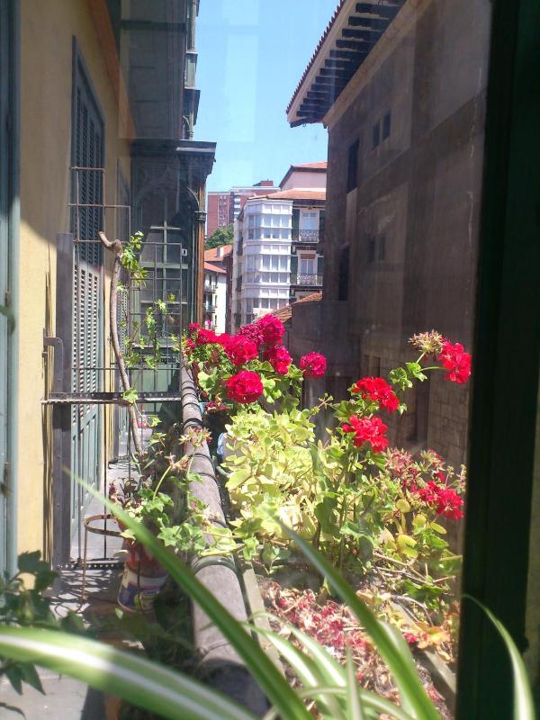 Single Room image 3