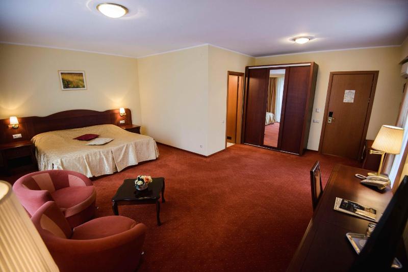 Hotel Alinalex - Paradisul Acvatic - image 10