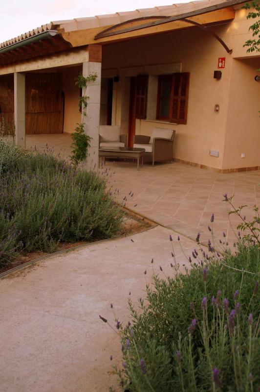 Premium Double or Twin Room with Terrace - Spa Access image 2