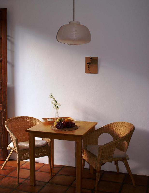 Studio with Terrace image 4