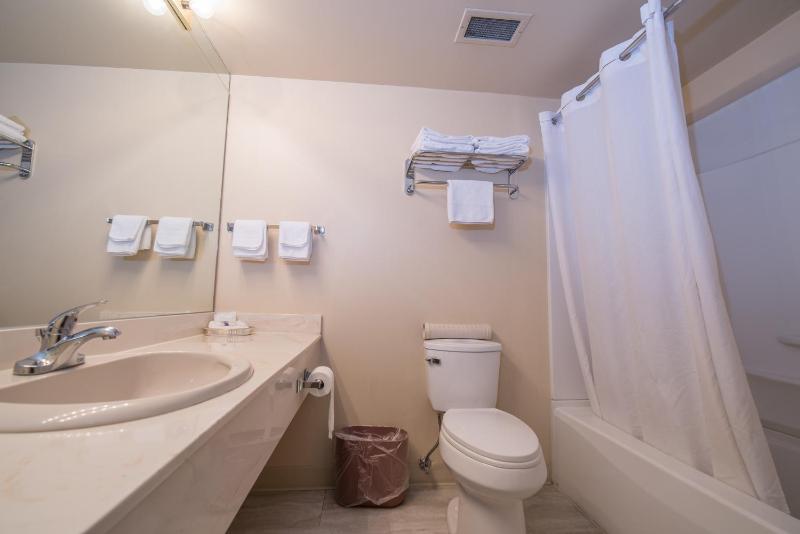 Argyll Plaza Hotel - image 13