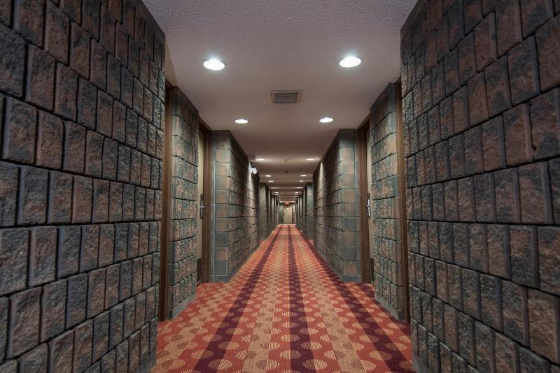 Argyll Plaza Hotel - image 40