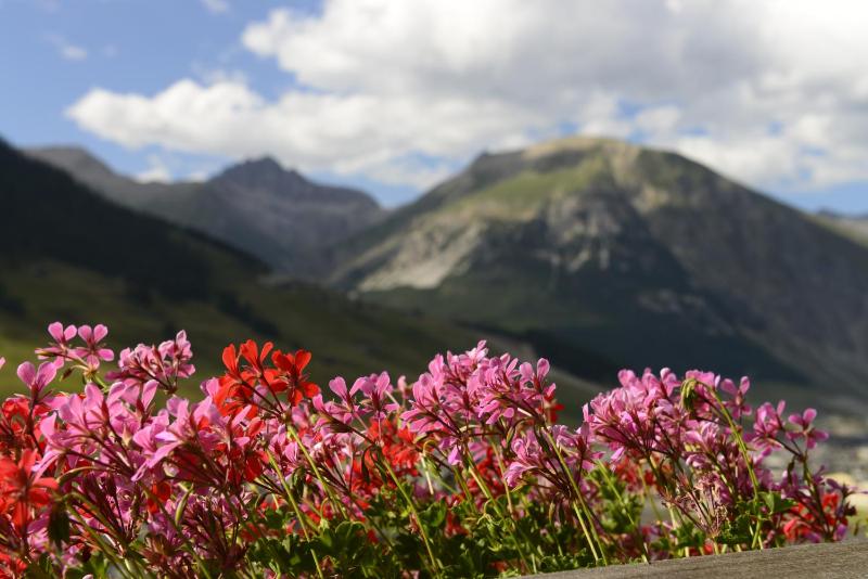 Chalet Garden - image 39
