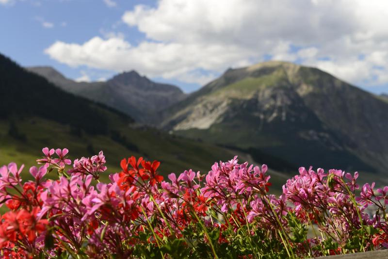Chalet Garden - image 41