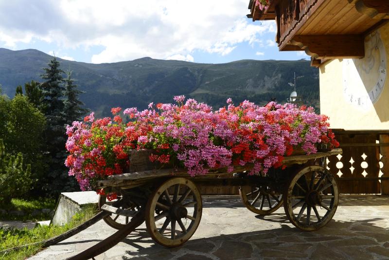 Chalet Garden - image 10