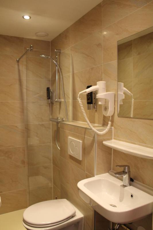 Blossoms City Hotel - image 2