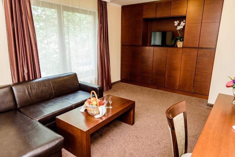 One-Bedroom Suite image 2