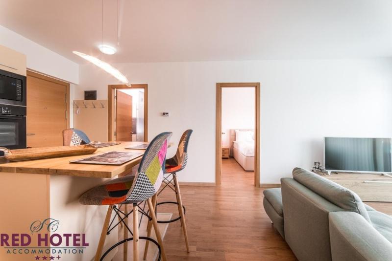 Premium One-Bedroom Apartment image 3