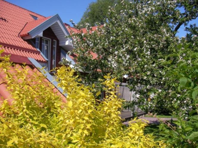 Apartamentai Obelynė - image 32