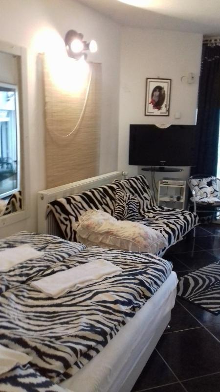 One-Bedroom Apartment image 3