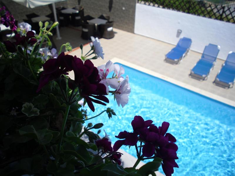 Double or Twin Room with Pool View image 3