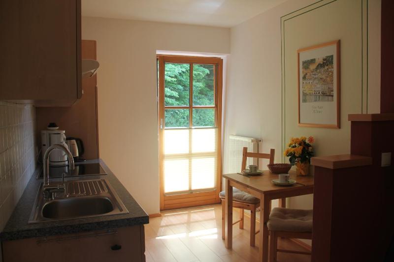 Studio with Balcony image 3