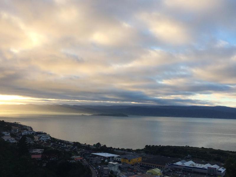 Harbour Lodge Wellington - image 17