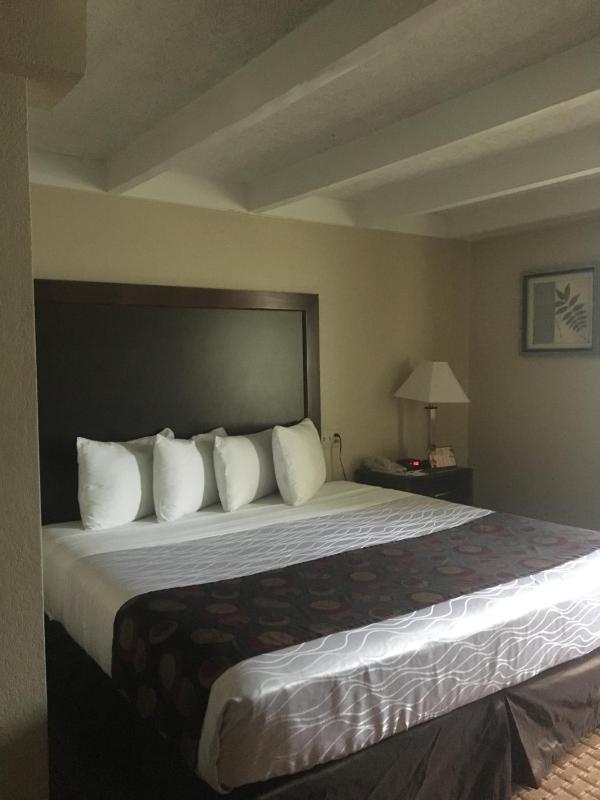 King Room - Non-Smoking image 3