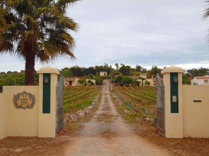 Horta Nova - image 15