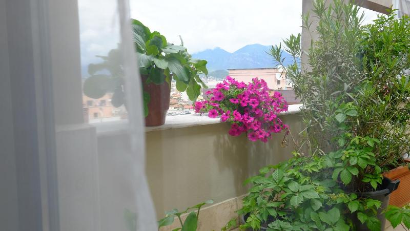 Galeria Apartment - image 6