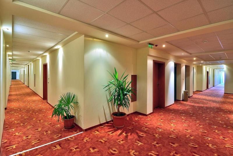One-Bedroom Apartment image 3
