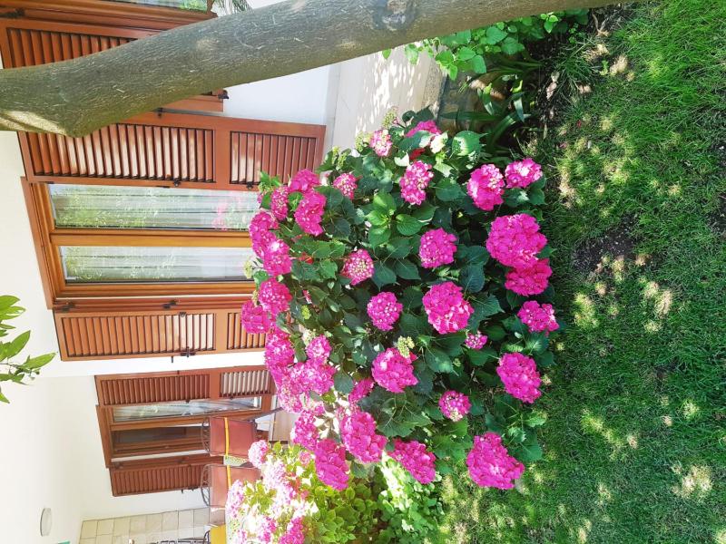 Two-Bedroom Apartment with Terrace and Sea View image 2