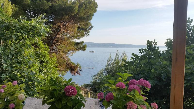 Apartments Garac - image 4