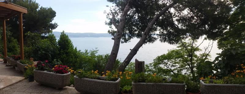 Apartments Garac - image 5