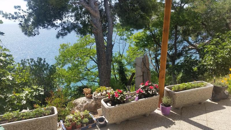 Apartments Garac - image 14