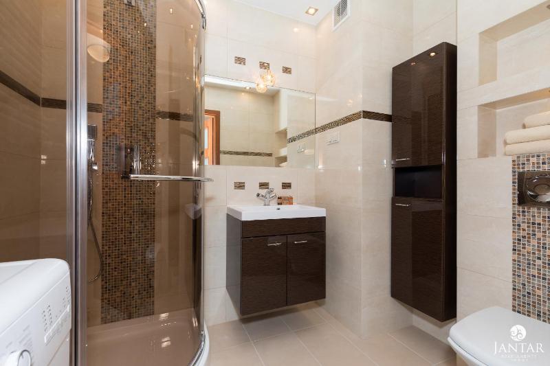 One-Bedroom Apartment image 3