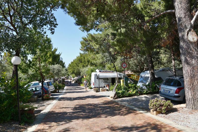 Campeggio Sanfilippo - image 6