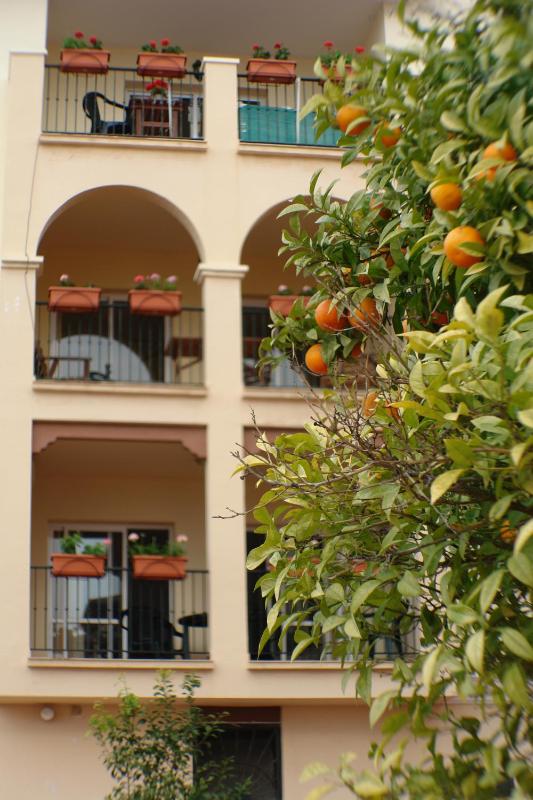 Deluxe Apartment image 1