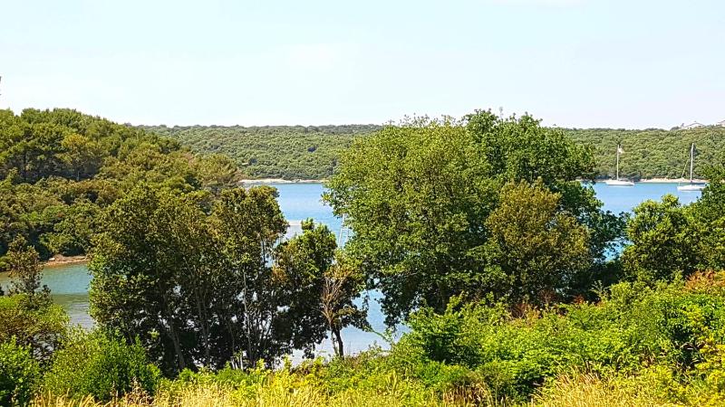 Apartment with Balcony image 4