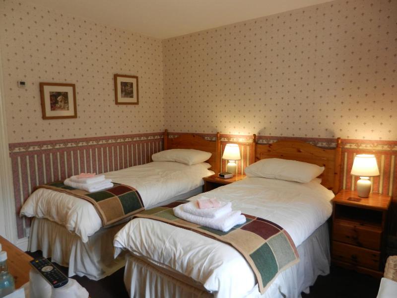 Standard Twin Room image 4