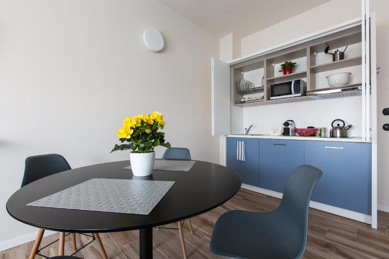 One-Bedroom Apartment image 4