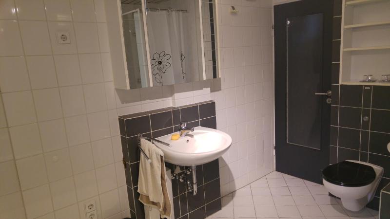 One-Bedroom Apartment image 4