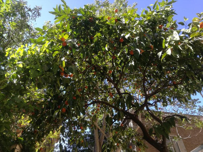 Economy Double Room with Private Bathroom image 2