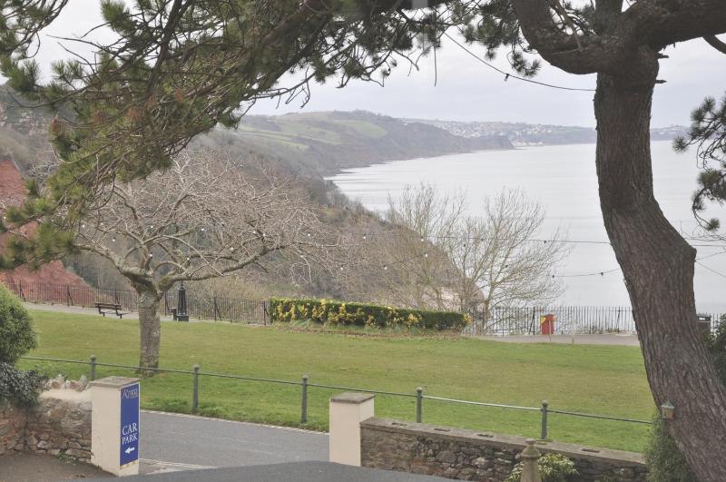 Babbacombe Royal Hotel and Carvery - image 39