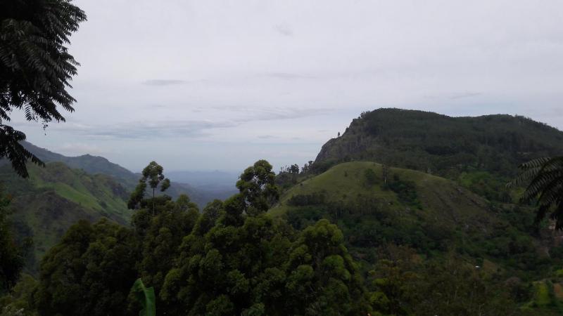 La Ciel Ella - image 25