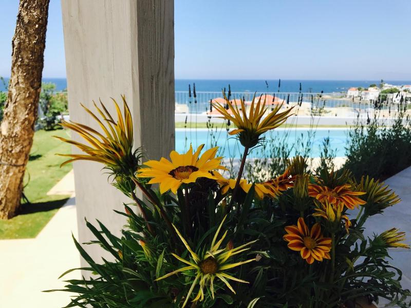 Villa with Sea View image 3